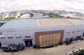 Corporate Video – Bilingual Version